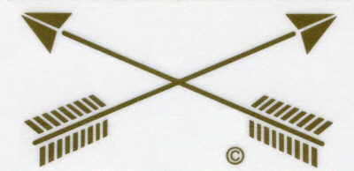 Special Forces crossed arrows (3"x1.5")